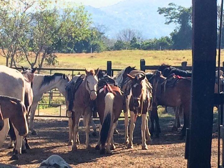 Hotel Hacienda El Rodeo Vueltas Екстер'єр фото