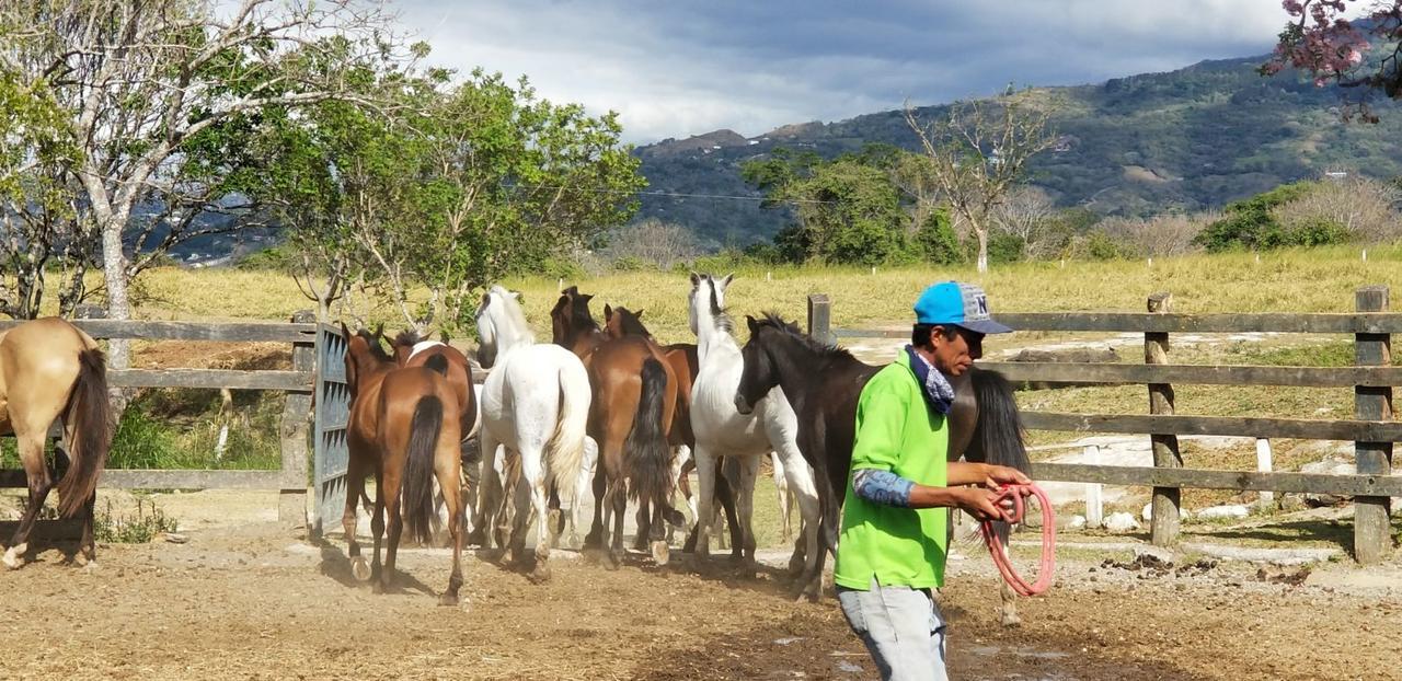 Hotel Hacienda El Rodeo Vueltas Екстер'єр фото